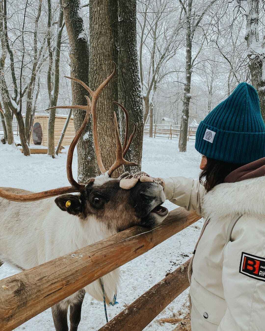 Индивидуальные туры