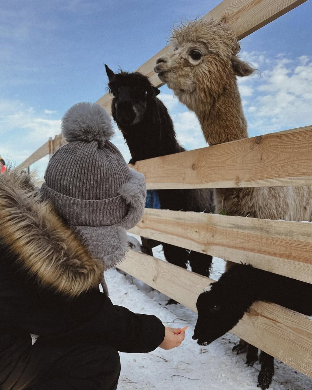 Эксклюзивно в «Город-курорт» 